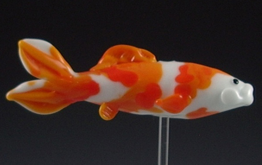 Koi 1